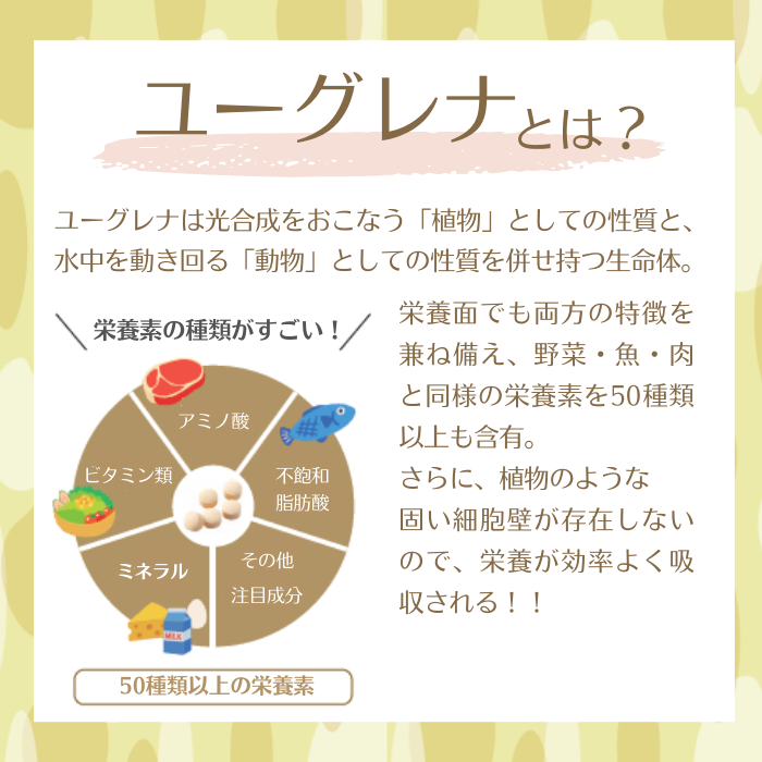 【定期クレカ】白鶴 酒粕ユーグレナ 50粒入 3個セット(30日分)