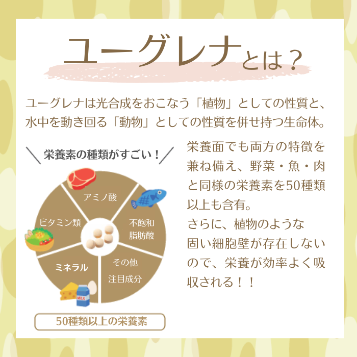 【定期クレカ】白鶴 酒粕ユーグレナ 50粒入 3個セット（30日分）