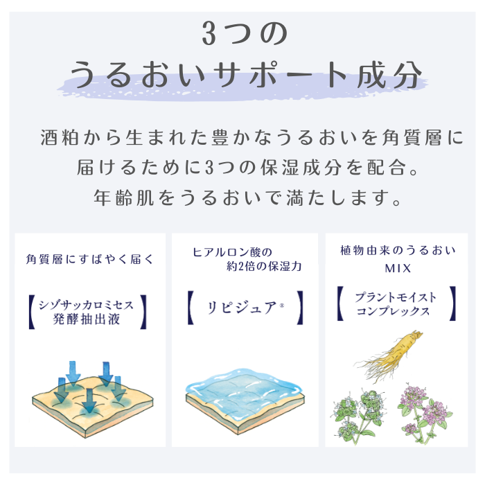 白鶴コスメ福袋　-ドラマティックリペア3点セット-